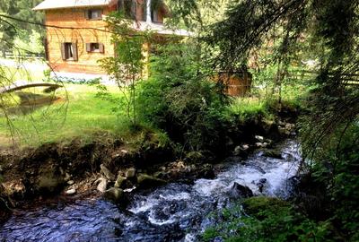 Casa din grinzi pe marginea paraului Borzont - 5