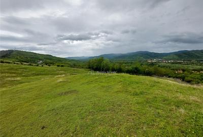 Teren extravilan 10000 mp, com Panatau - 3