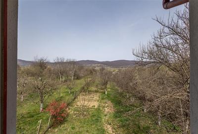 FILM! Casa  pe domeniu de 3.117 mp, Viperesti  Buzau - 21