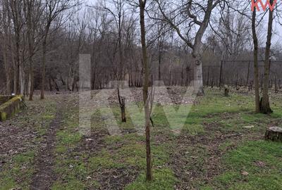 Duplex cu 7 camere cu Teren 2354 Mp în Malu Mare - 19