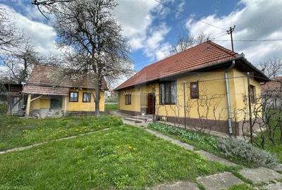 Casă cu 2 camere cu Teren 1700 Mp în Leordeni - 12