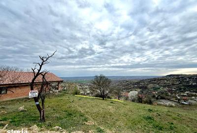 Teren de 1100 mp, în Central - 2