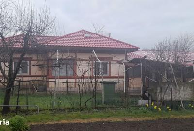 Casă cu 6 camere cu Teren 1760 Mp în Măldăeni - 10