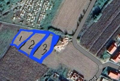 Teren de 800 mp, în Botiz - 2