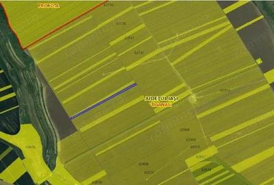 Teren de 7466 mp, în Țigănași - 5