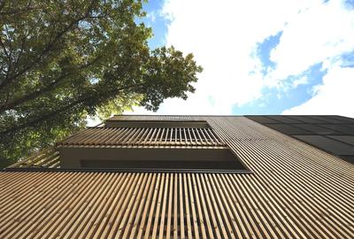 Apartament cu 3 camere decomandat în Primăverii - 16