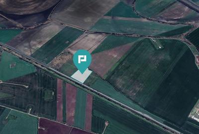 Teren 22.500 mp–Pecica, jud. Arad,Posibilitate PUZ - 14