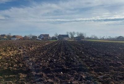 Gelu – Casa 4 Camere – Teren 6700 mp Gelu – Casa 4 Camere – Teren 6700 mp - 2