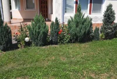Casă cu 4 camere cu Teren 600 Mp în Unguraș - 6