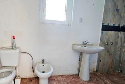 Proprietate situata in com.Girov - 13