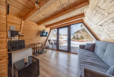 Teren Construcții intravilan de 7656 mp, în Fundata - 8