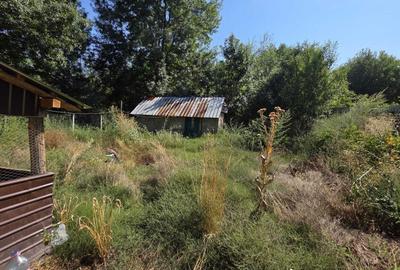 Casă cu 4 camere în Băleasa - 6