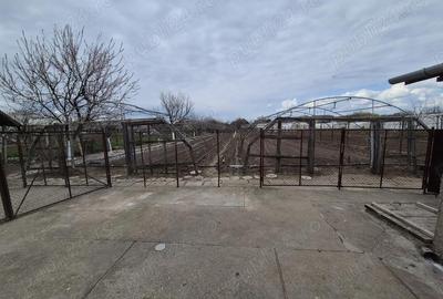 Casă cu Teren 1400 Mp în Macea - 4