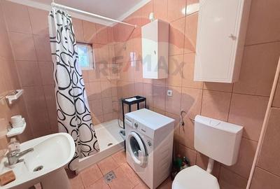 Apartament cu 2 camere de inchiriat Muzeul Apei, Floresti - 10
