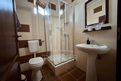 Pensiunea Polyana – business la cheie în inima stațiunii balneoclimaterice Bazna - 13