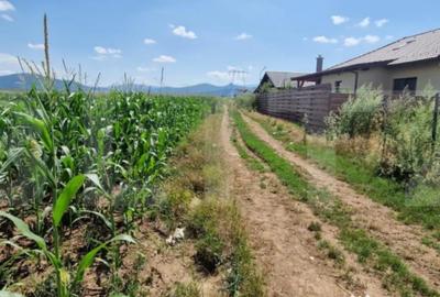 Teren de 10900 mp, în Central