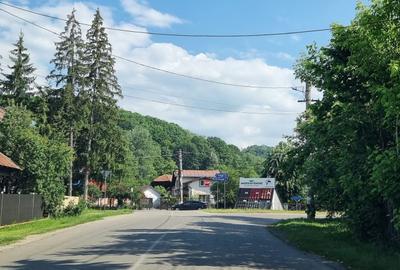 Teren Construcții intravilan de 6011 mp, în Mislea - 6