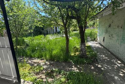 Vila 20 De Camere Mamaia Sat Pentru Muncitori - 4