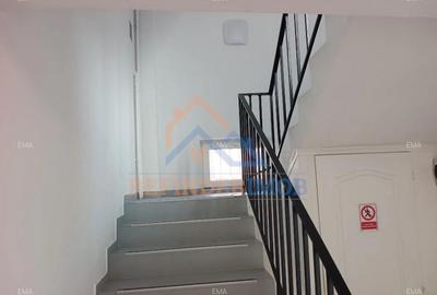 Doua vile in zona Calea Plevnei - 4