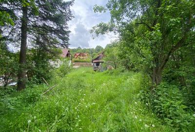 Teren Construcții intravilan de 1190 mp, în Capul Câmpului - 5