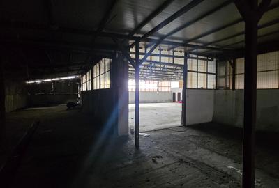 Spațiu industrial, în Măgurele - 10