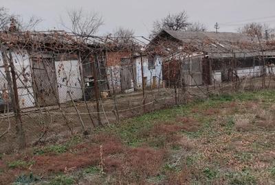 Proprietate de vanzare.Sat Draghicesti com.Sapata jud.Arges - 5