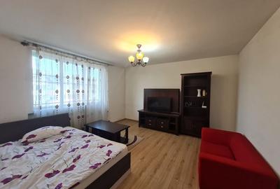 Apartament vanzare 2 camere zona Balcescu - 10