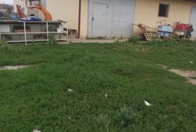 Teren de 95000 mp, în Cerneteaz - 11