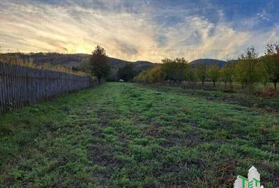 Teren de 1815 mp, în Măneciu - 6