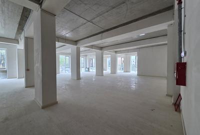 Spațiu comercial, de 428 mp, în Copou - 2