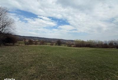 Teren de 8600 mp, în Baciu - 3