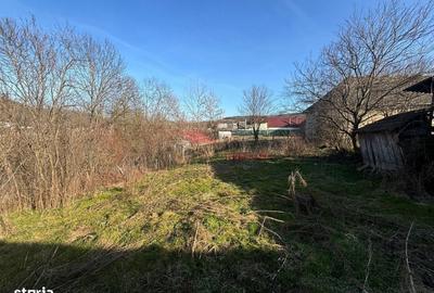 Casă cu 3 camere în Nireș - 3