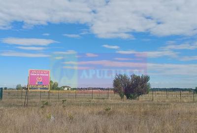 Gulia, teren reziden?ial 1500 mp, cu utilita?i - 4