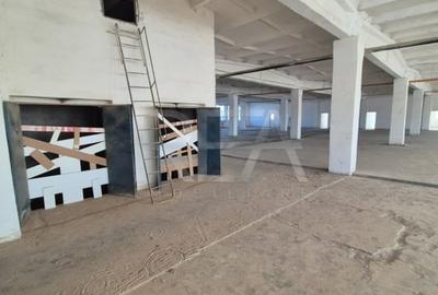 Hala industriala 3600 mp SECTOR 3 Oxigenului - 7