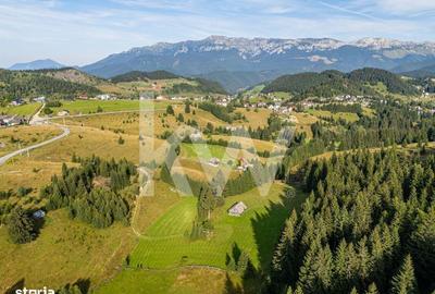 Spațiu comercial, în Ciocanu - 11