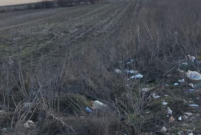 Teren stradal Sos. de Centura 12.000 mp- Glina ( Popesti Leordeni ) - 2