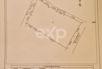 Teren Construcții intravilan de 21494 mp, în Albota - 1