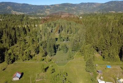 Teren Construcții intravilan de 19370 mp, în Neagra Șarului - 7