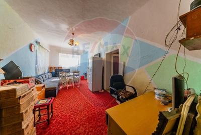 Casa + teren 2880 mp de vanzare in Tipar,Sintea Mare - 9