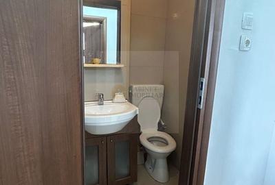 Apartament cu 2 camere semidecomandat, mobilat în Sala Palatului - 8