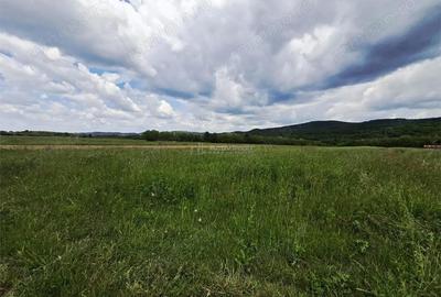 Teren de 500 mp, în Periferie