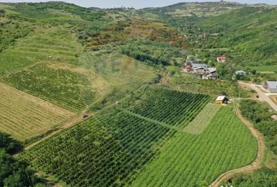 Teren de 40300 mp, în Central - 7