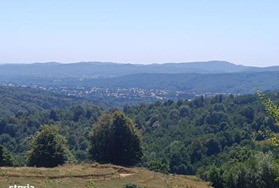 Teren de 10378 mp, în Pietriceaua - 1