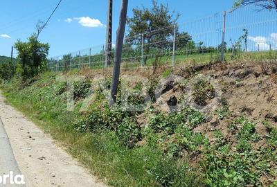 Teren de 1974 mp, în Săsciori - 4