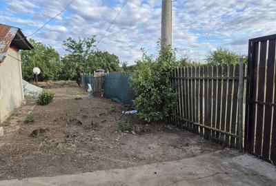 Vand casa ,teren,vie greaca giurgiu - 7