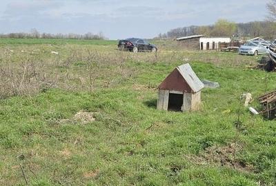 Afumati Balta Batal teren de vanzare 7000 mp - 3