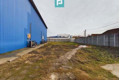 Depozit frigo de inchiriat in Sacalaz - 1