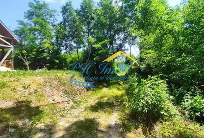 Teren intravilan de vanzare Cornu, Prahova - 3