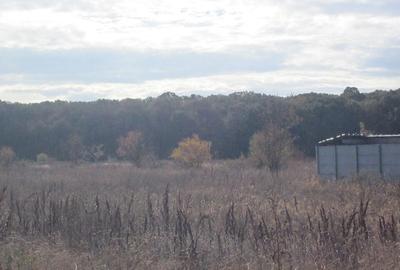 Teghes-Caragea Voda - 6