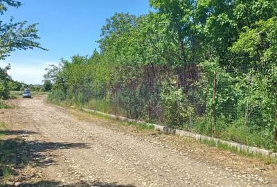 Teren de 500 mp, în Săbăreni - 5